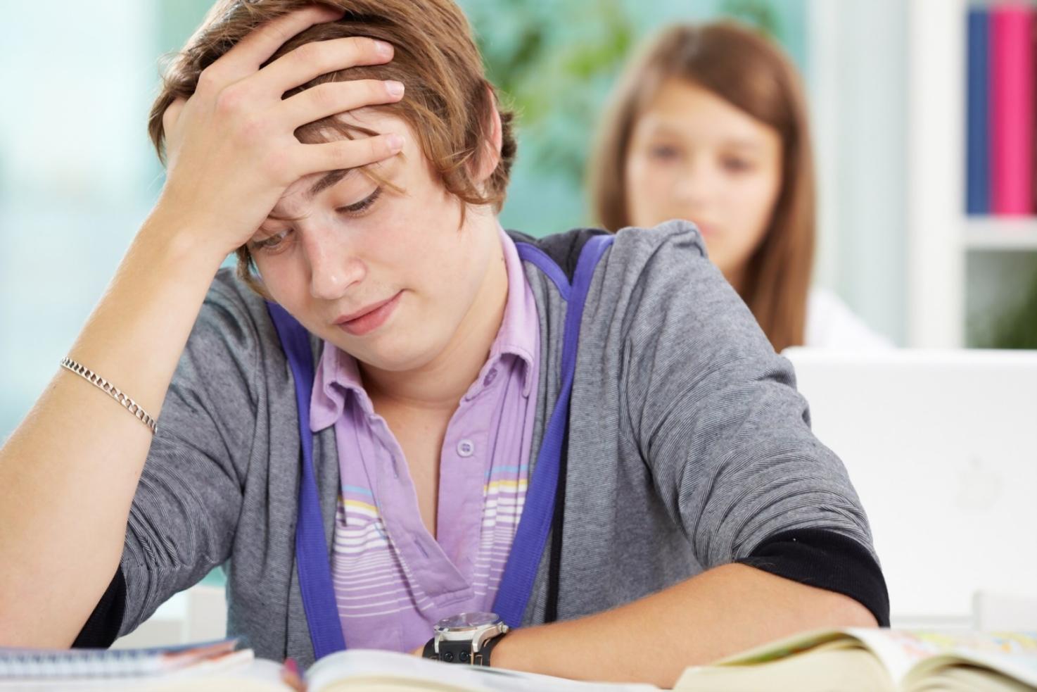 Session de formation financière en entreprise avec analyse de données budgétaires